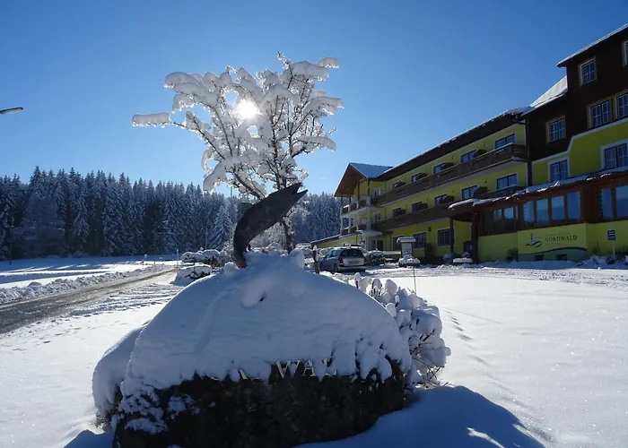 Gasthof-pension Nordwald 3* Harbach (Gmund)