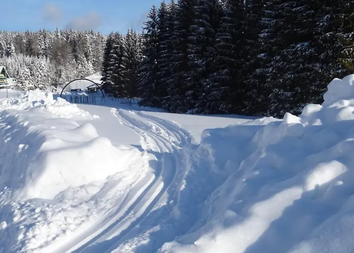 Gasthof-pension Nordwald Gæstehus Harbach (Gmund)